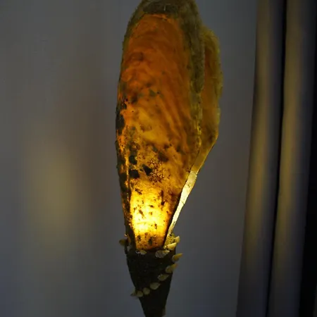 Enjoy Cyclades & Kythnos