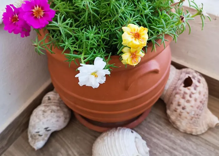 Enjoy Cyclades & Kır Evi Kythnos