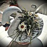 Εξοχικό σπίτι Enjoy Cyclades & *