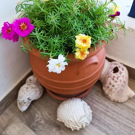 Enjoy Cyclades & Hétvégi ház Kíthnosz