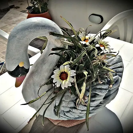 Hétvégi ház Enjoy Cyclades & *