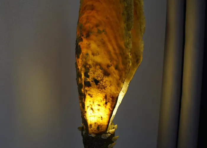 Enjoy Cyclades & Κύθνος